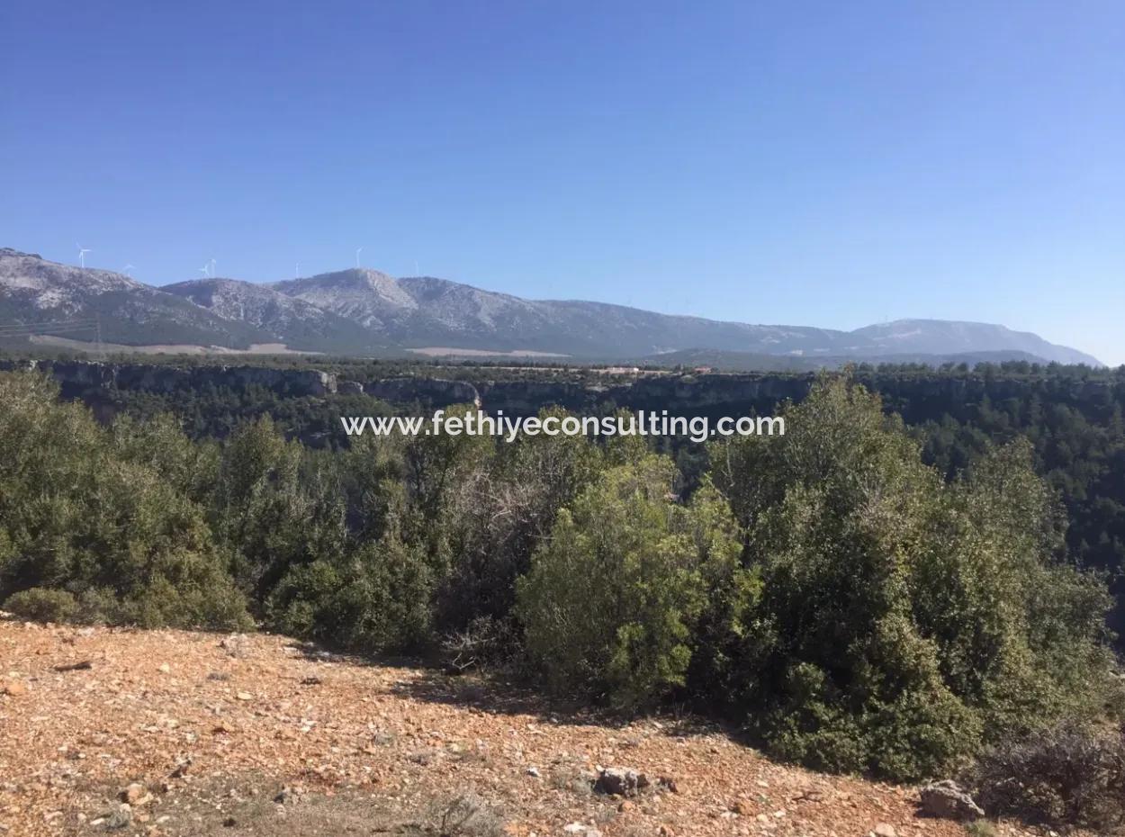 Der 200000M2 Mandelgarten Steht Im Zentrum Von Mugla Zum Verkauf.