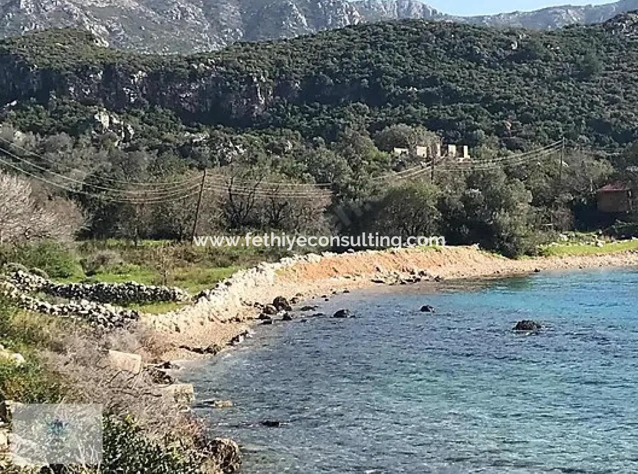 1600 M2 Bucht Am Meer Im Stadtteil Söğüt Des Bezirks Marmaris Von Immobilienmakler