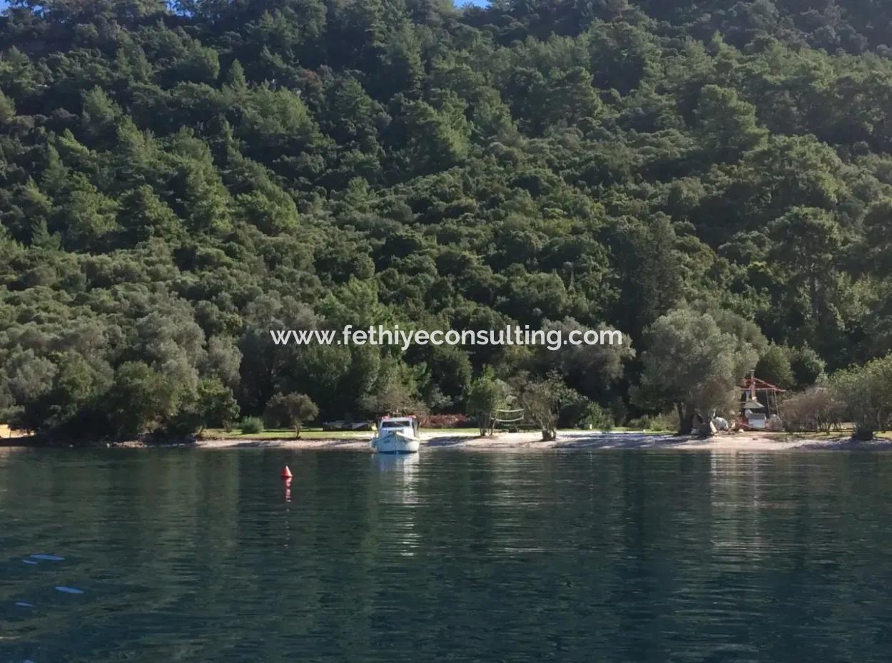 Das Land Zum Verkauf Von Marmaris In Der Nähe Des Meeres Grundstück Hotels, Marina, Yacht Club Land 4000 M2