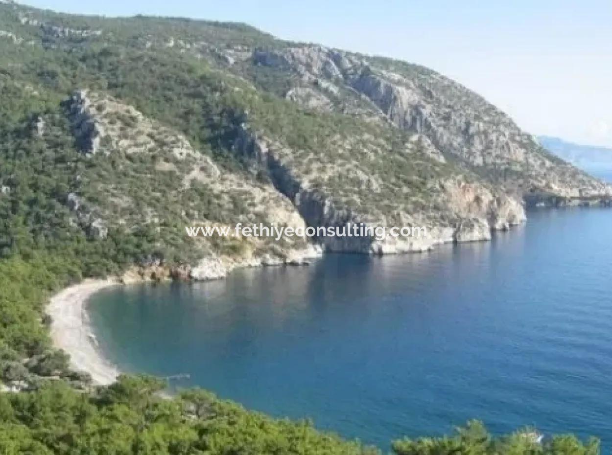 Gebaut Auf Einem Grundstück Von 100000M2 Zum Verkauf In 60 Km Vom Stadtzentrum Von Datca Holiday Village