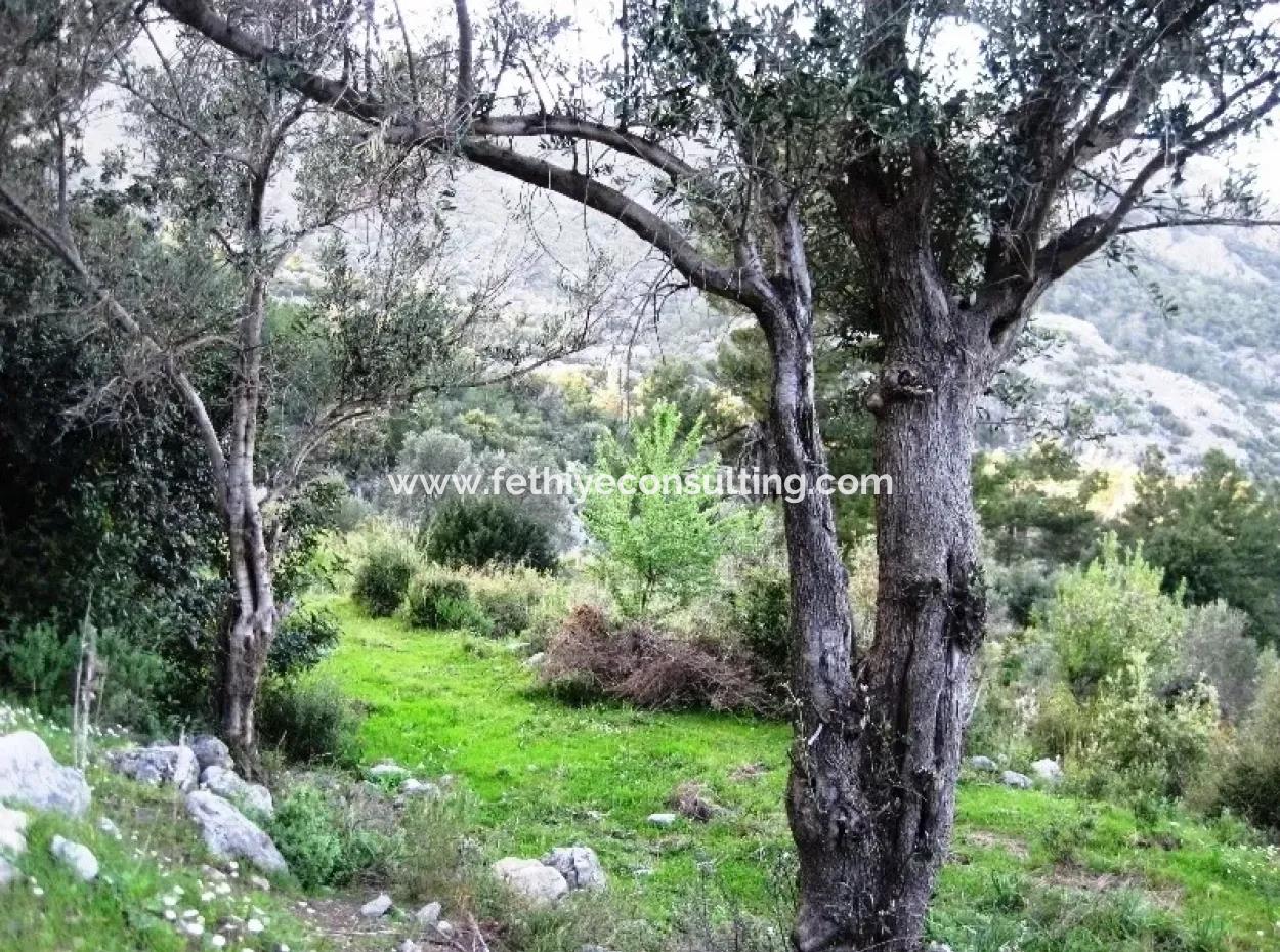 15000M2 Land For Sale With Sea Views At Kumlubük Bay, Marmaris