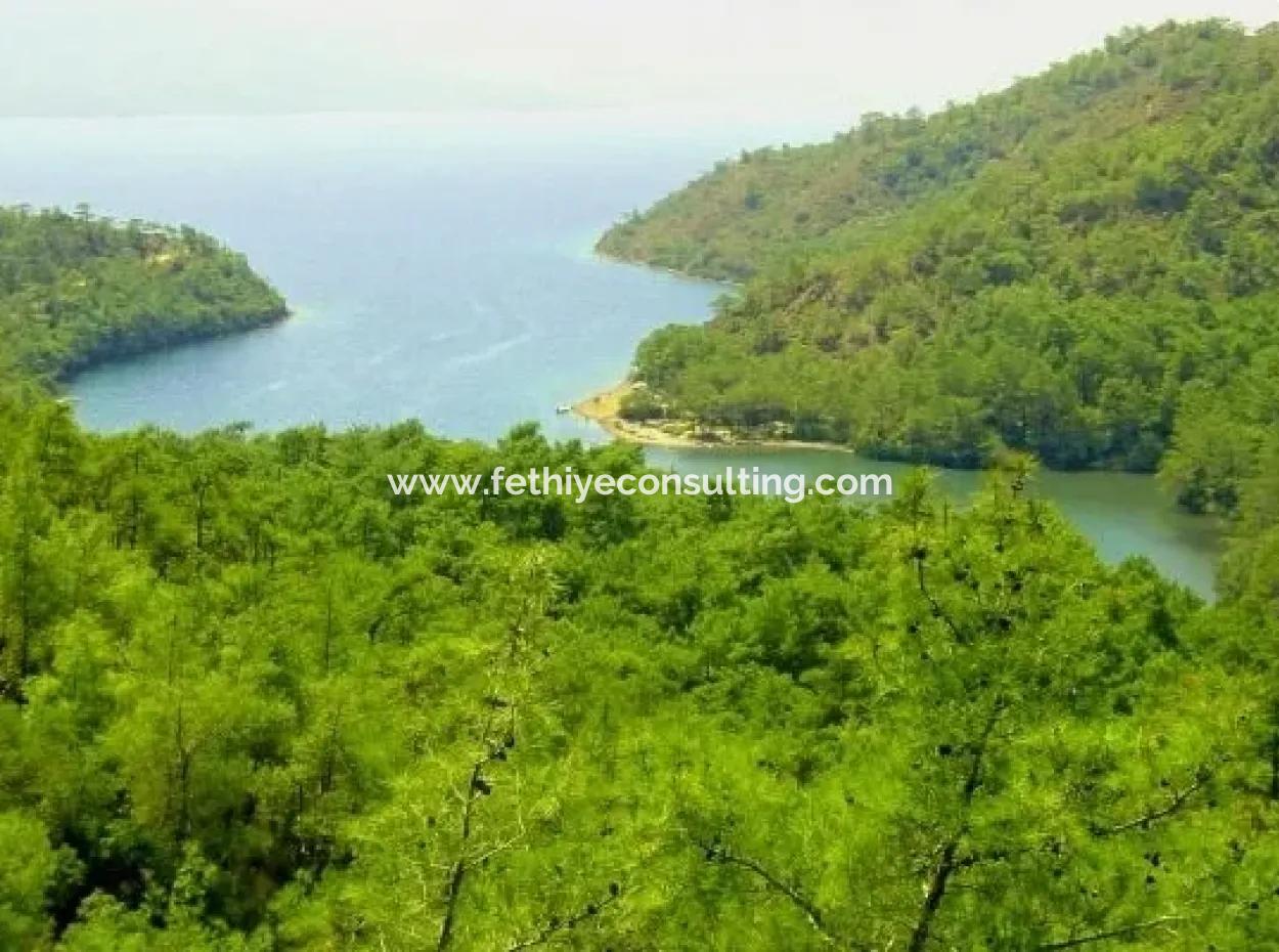 Is Bordubet Marmaris Sea Our Land Is 13000M2 At Bay Area Kitesurf For Sale.