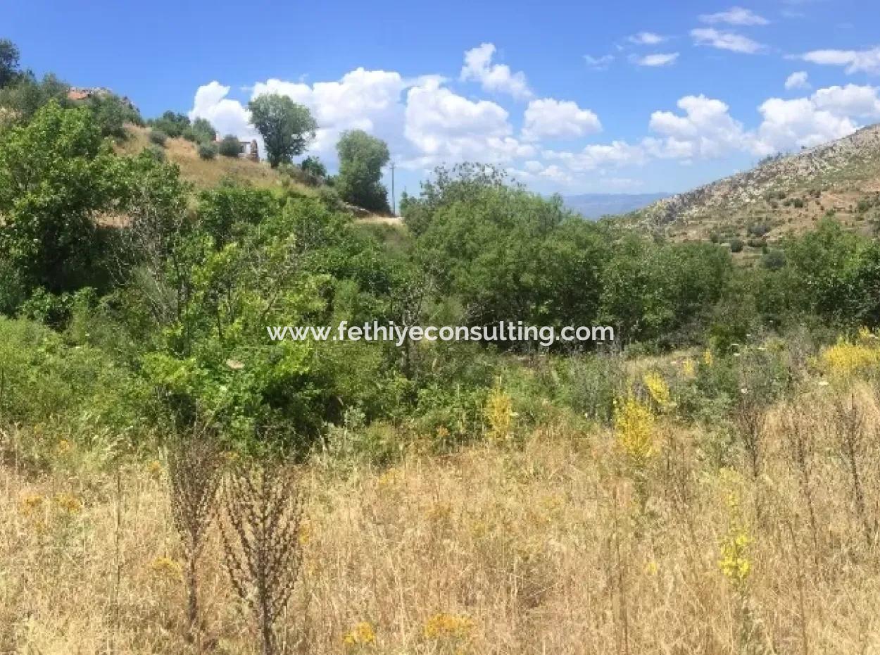 Akbuk, Mugla Province, County And Neighborhood Of The House In A Plot Of 3500 M2 In Zeytinkoy 2 Current Land Plot For Sale