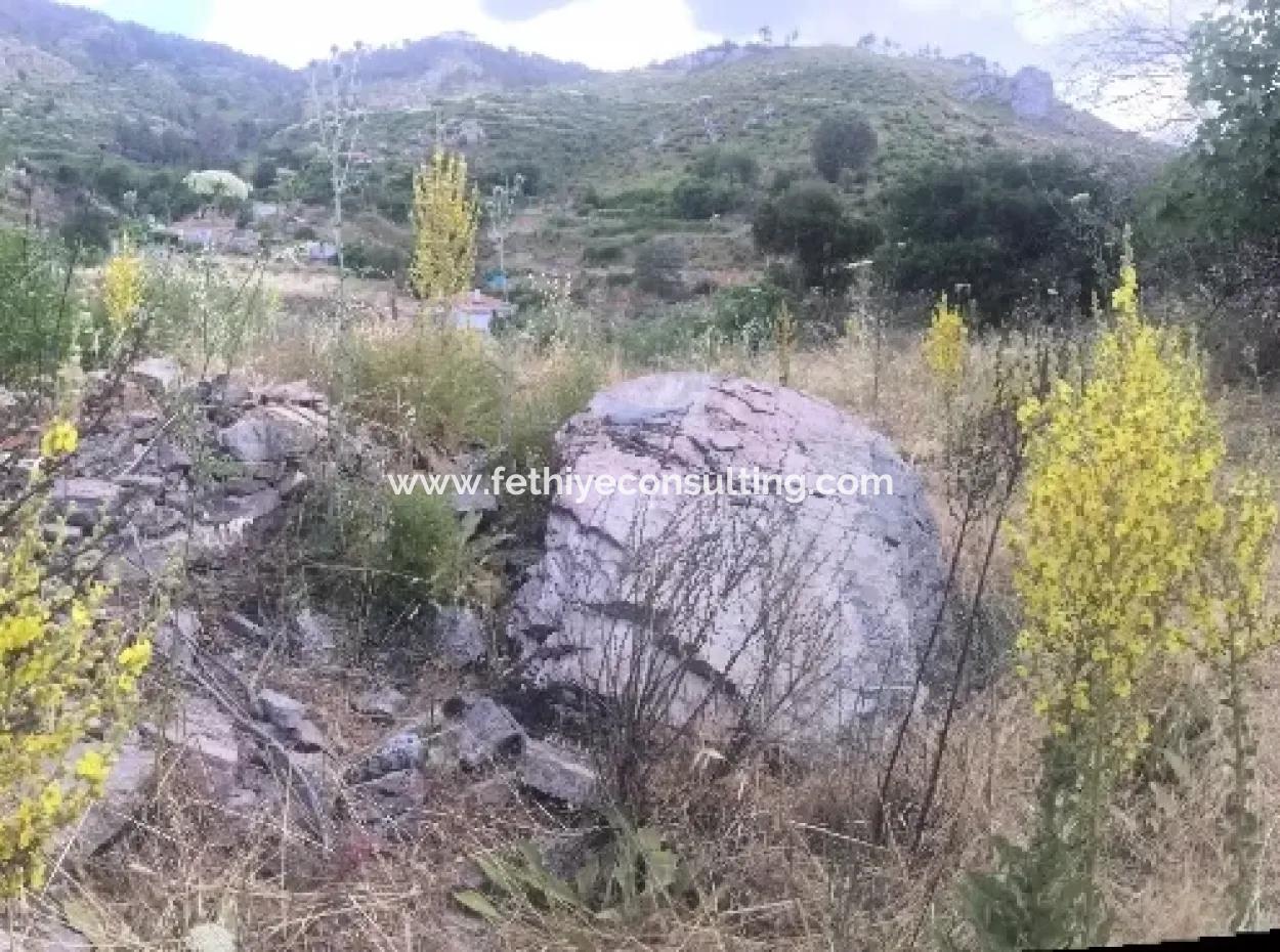 Akbuk, Mugla Province, County And Neighborhood Of The House In A Plot Of 3500 M2 In Zeytinkoy 2 Current Land Plot For Sale
