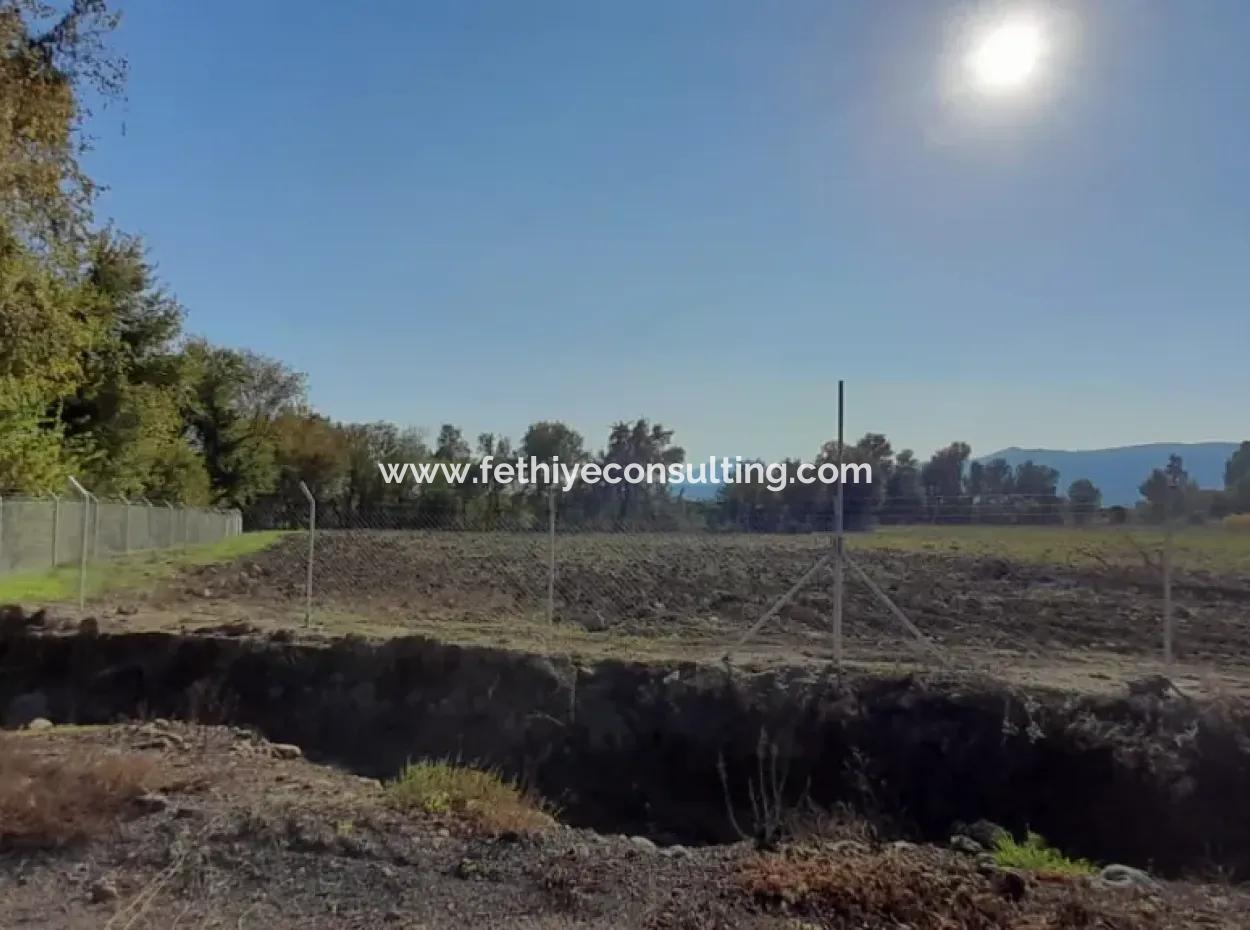 32000M2 Arable Avocados, Greenhouse Construction, Farms, Suitable For Livestock Land In Köyceğinz Döğüşbelen
