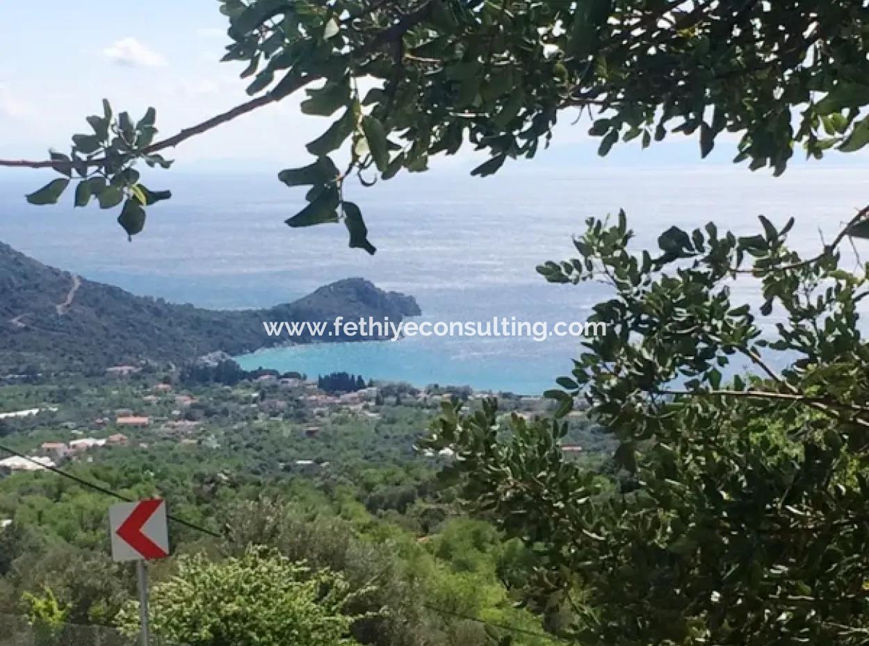 Land For Sale With Sea View With 52000M2 Parcel In Mugla Province Datca District Masoudye Neighborhood