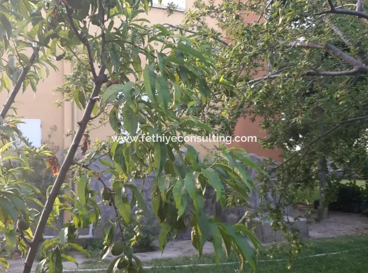 Manisa Prefecture Alasehir District 19000M2 Grapefring Farm For Urgent Sale