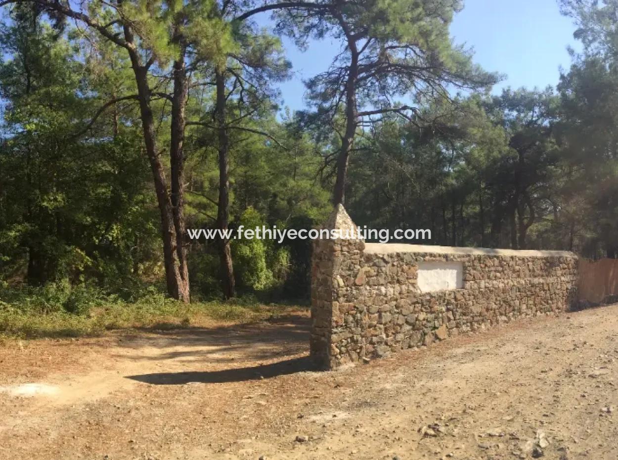 Land For Sale Suitable For Bungalow Hotel In 7500M2 Plot In Bördübet Bay