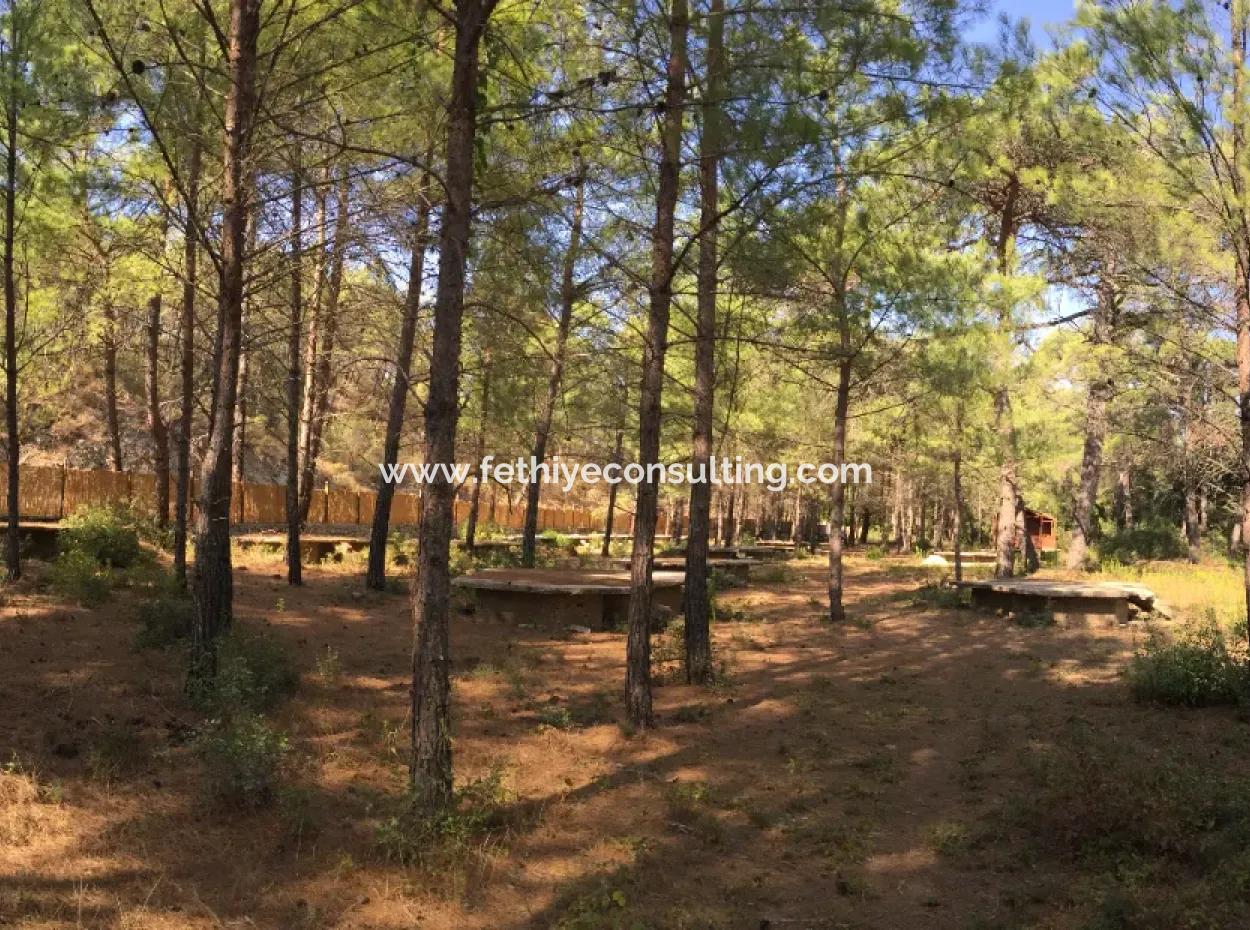 Land For Sale Suitable For Bungalow Hotel In 7500M2 Plot In Bördübet Bay