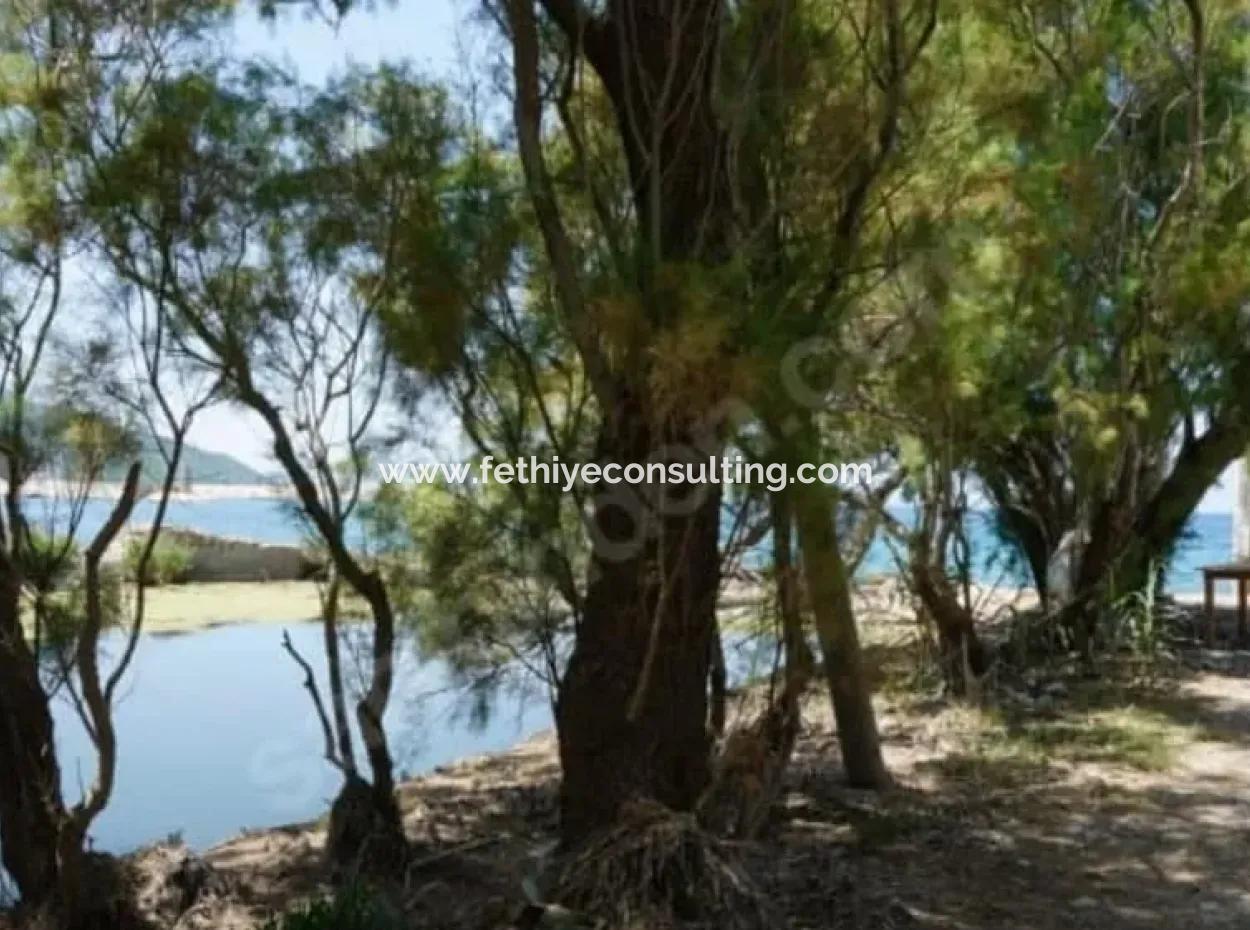 Camping And Caravan Parking For Sale By The Sea Close To Datça Karaköy Port