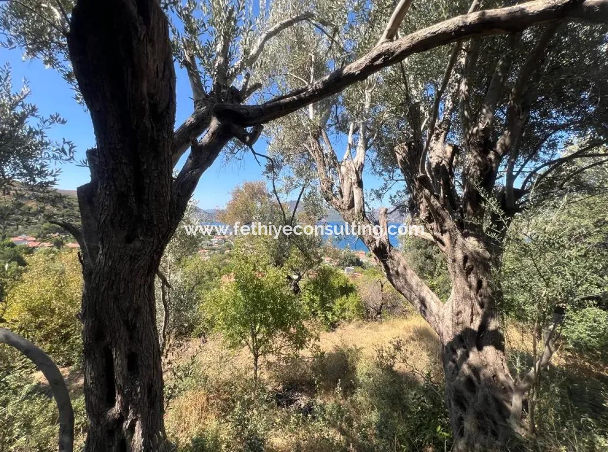 Land For Sale In Marmaris Selimiye Neighborhood With Sea View 5200M2 Suitable For The Construction Of 2 Villas Or Hotel Construction