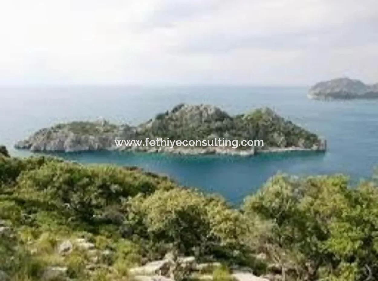 81000M2 Island For Sale In Marmaris Region 31000M2 Title Deed Official Electricity Water Available Manor House With Legal House In It
