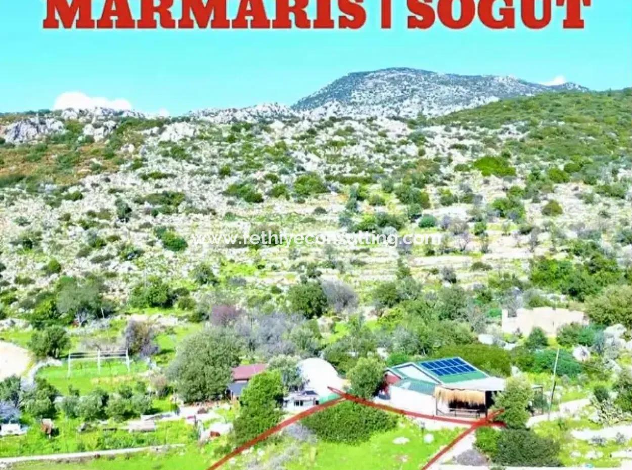 A 380M2 Land For Sale By The Sea In Söğüt Neighborhood Of Marmaris District From A Real Estate Agent
