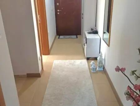 Camiavlu Neighborhood 3 1 Garden Duplex Flat With Pool For Sale