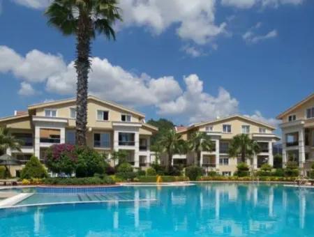 3 1 Furnished-Unfurnished Flat For Rent In Camiavlu Neighborhood Secure Site With Pool