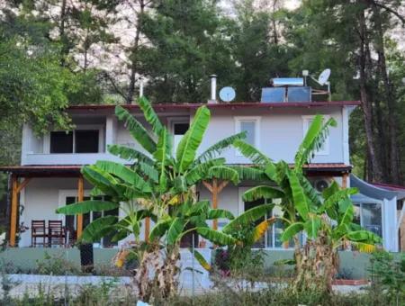 Ortaca Neighborhood For Sale 10.000 M2 Custom Made Farmhouse With Pool