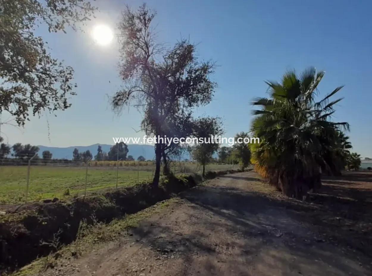 Köyceğiz Döğüşbelen Mevkisinde 32000M2 Tarıma Elverişli Avokado,Sera Yapımı,Çiftlik,Hayvancılık İçin Uygun Satılık Arsa