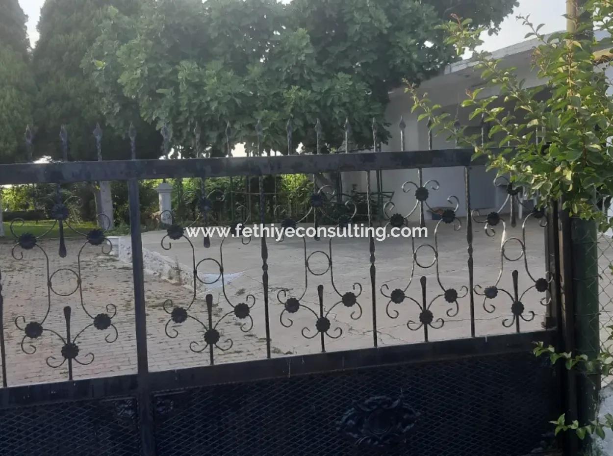 Manisa İli Alaşehir İlçesi 19000M2 Üzümbağı Çiftliği Acil Satılık