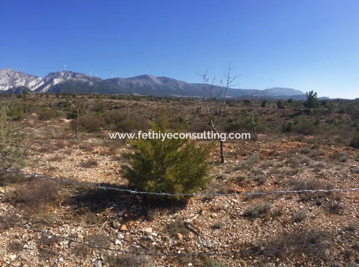 Muğla Merkezinde 200000M2 Badem Bahçesi Satılıktır.