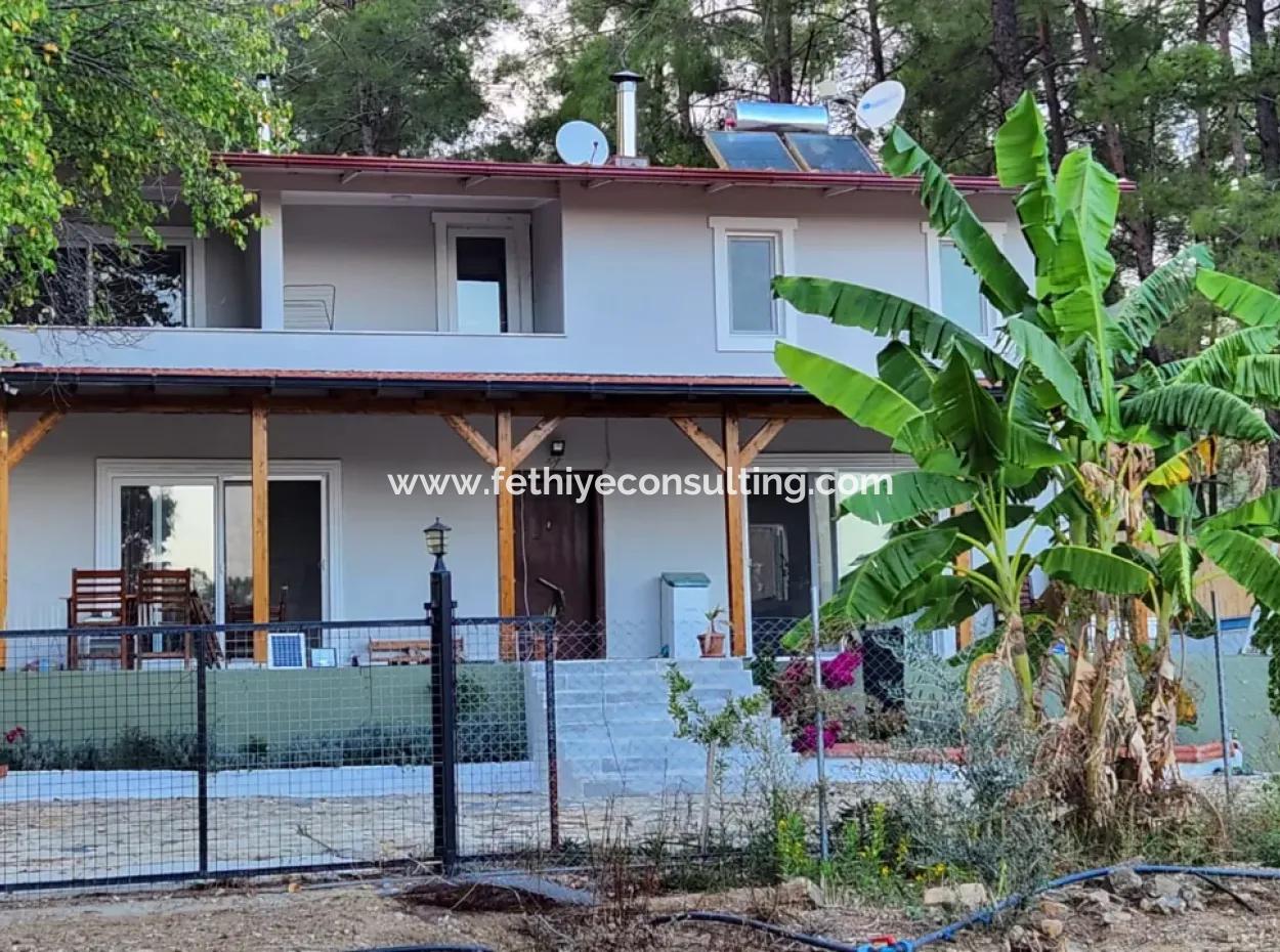 Ortaca Mahallesi Satılık 10.000 M2 İçerisinde Özel Yapım Havuzlu Çiftlik Evi