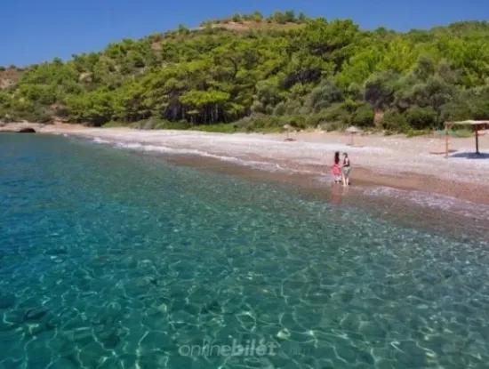 Datça Merkezinden 60 Km Uzaklıkta Satılık 100000M2 İmarlı Koy