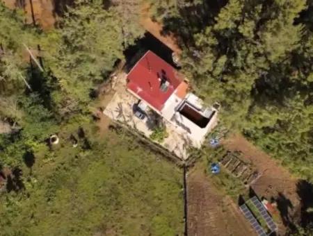 Ortaca Mahallesi Satılık 10.000 M2 İçerisinde Özel Yapım Havuzlu Çiftlik Evi